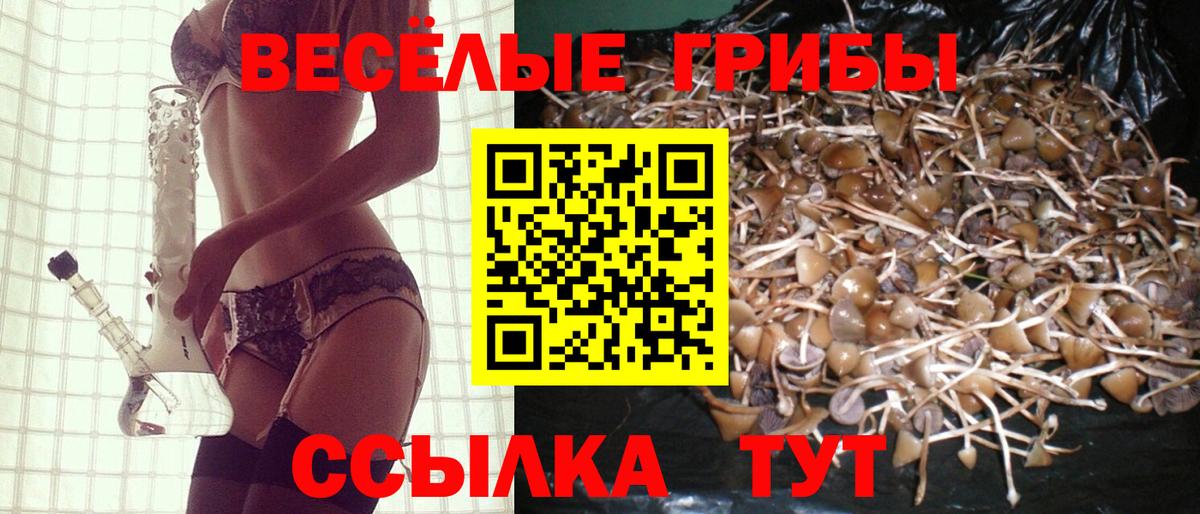 Псилоцибиновые грибы MAGIC MUSHROOMS Малгобек