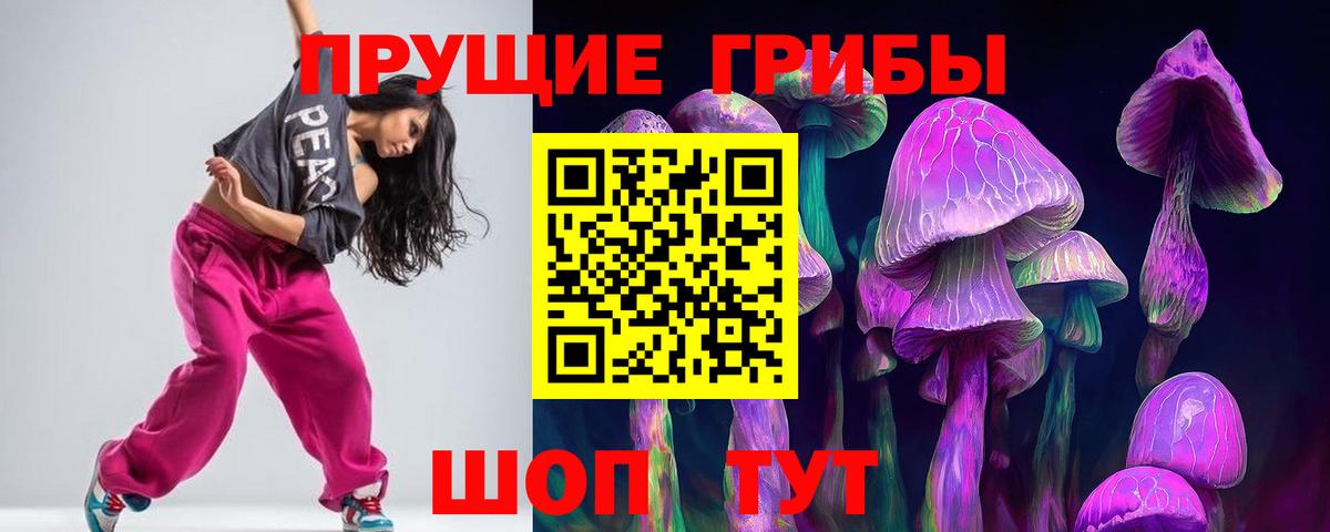 Псилоцибиновые грибы мицелий  Вход с VPN  Малгобек  Псилоцибиновые грибы Cubensis 